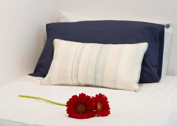 Madeira Sun Apartamento