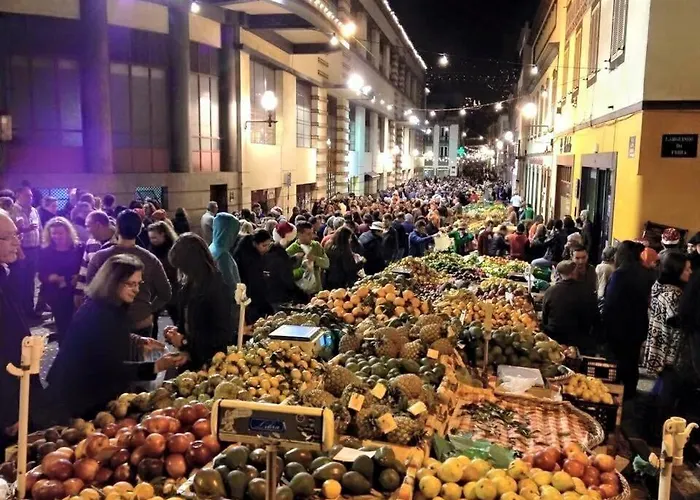 Apartment Madeira Sun Funchal (Madeira)