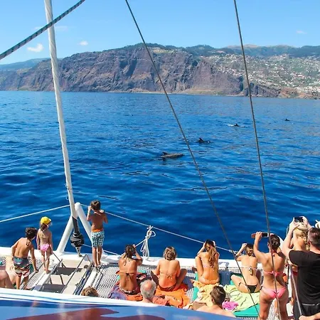Madeira Sun *
